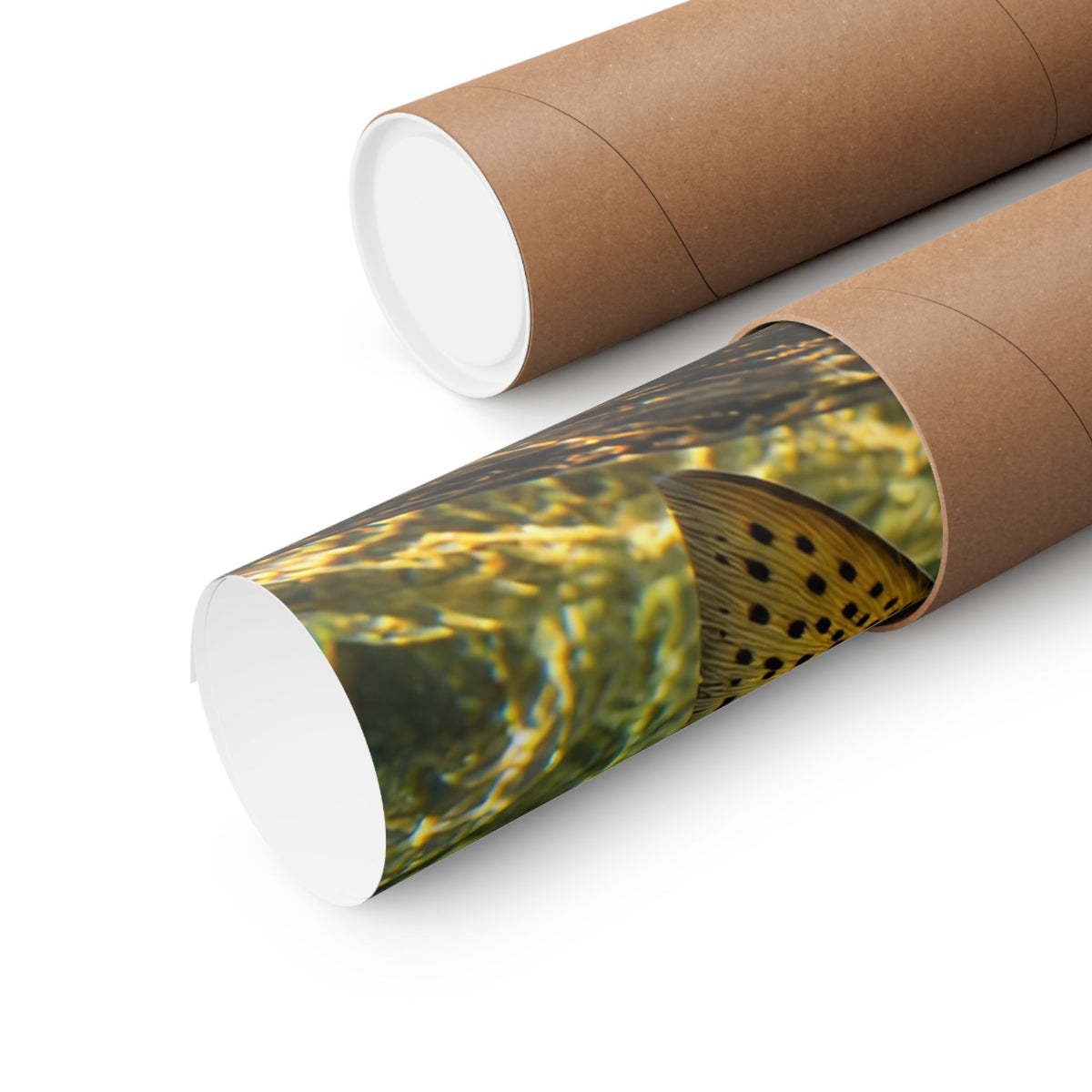 Rising to the Hopper Cutthroat Trout poster shipped rolled in a protective tube