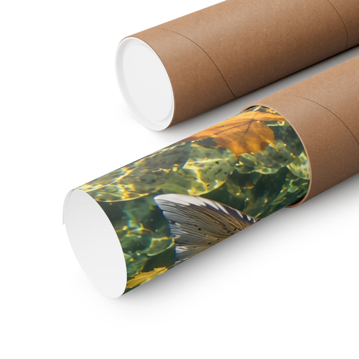 Clearwater Fall Coho Salmon poster shipped rolled in a protective tube