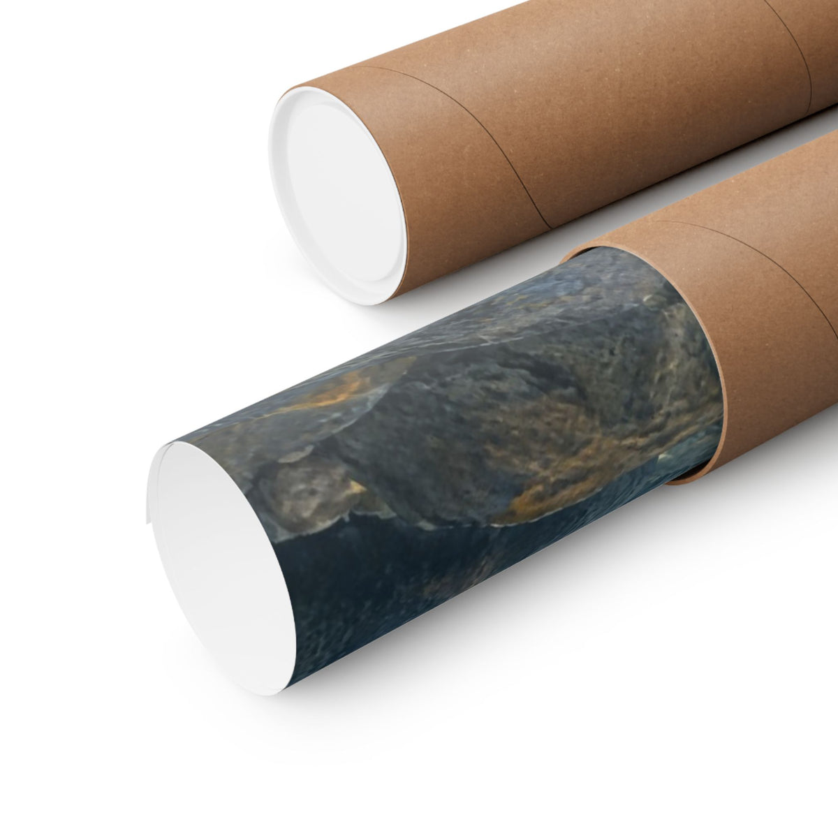 Lake-Run Giant Brown Trout poster shipped rolled in a protective tube