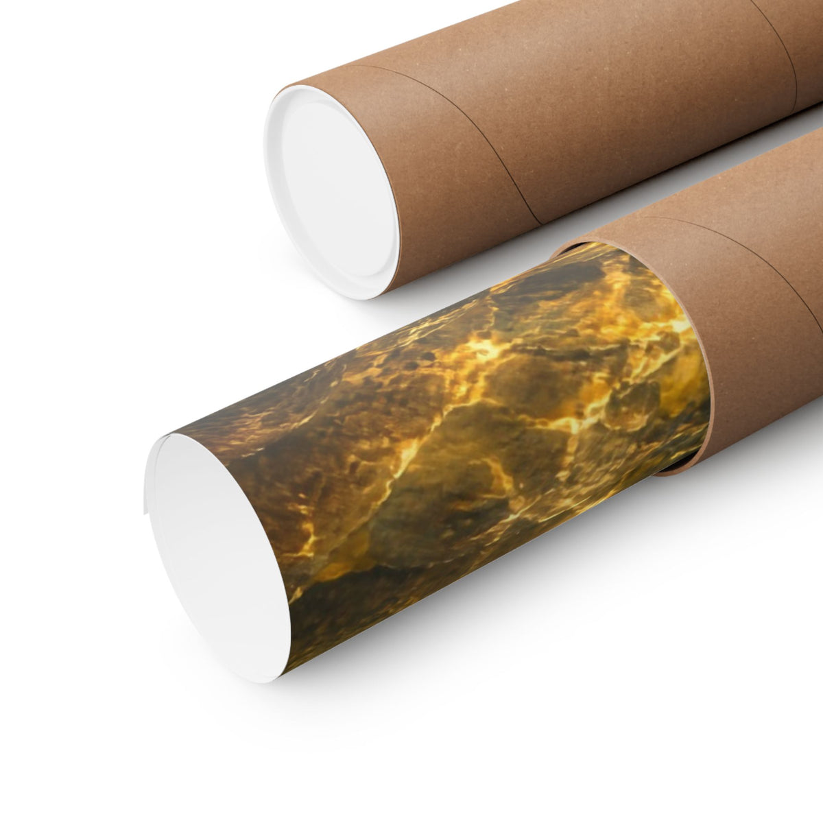 Streamer Chase Brown Trout poster shipped rolled in a protective tube