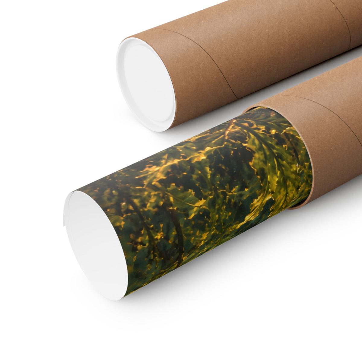 Golden Hour Northern Pike Painting poster shipped rolled in a protective tube
