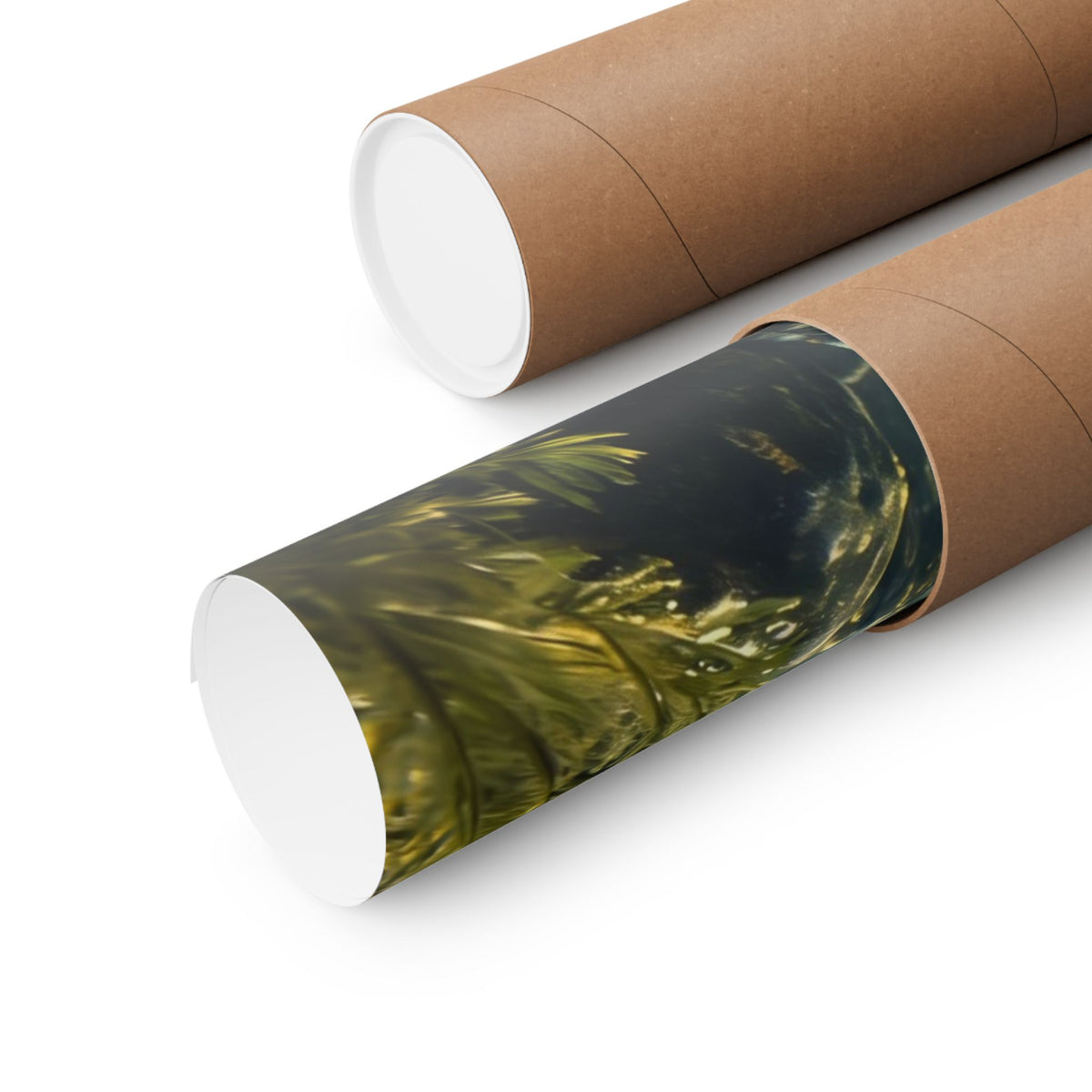 Cisco Chase Lake Trout poster shipped rolled in a protective tube