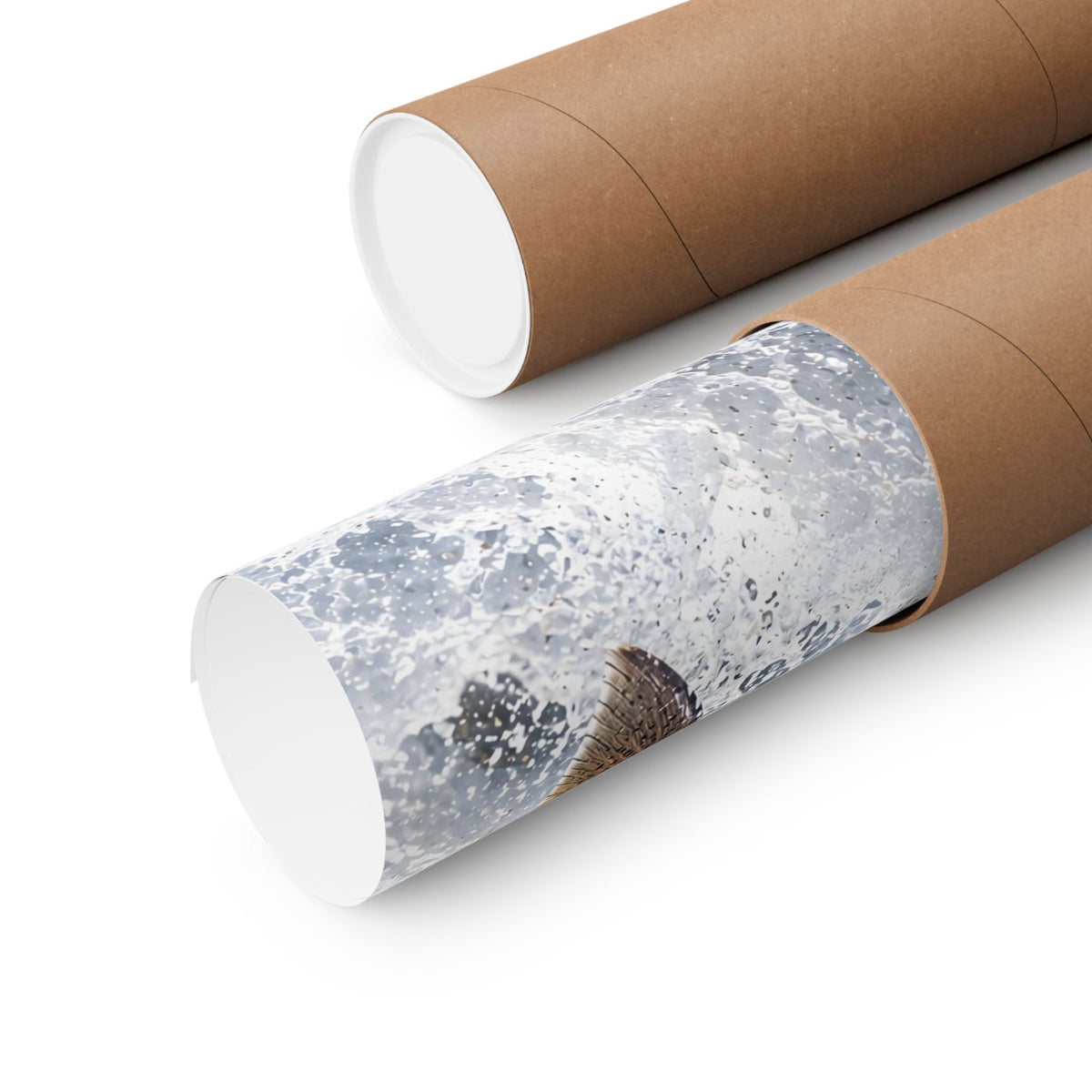 Autumn Run Leap Coho Salmon poster shipped rolled in a protective tube