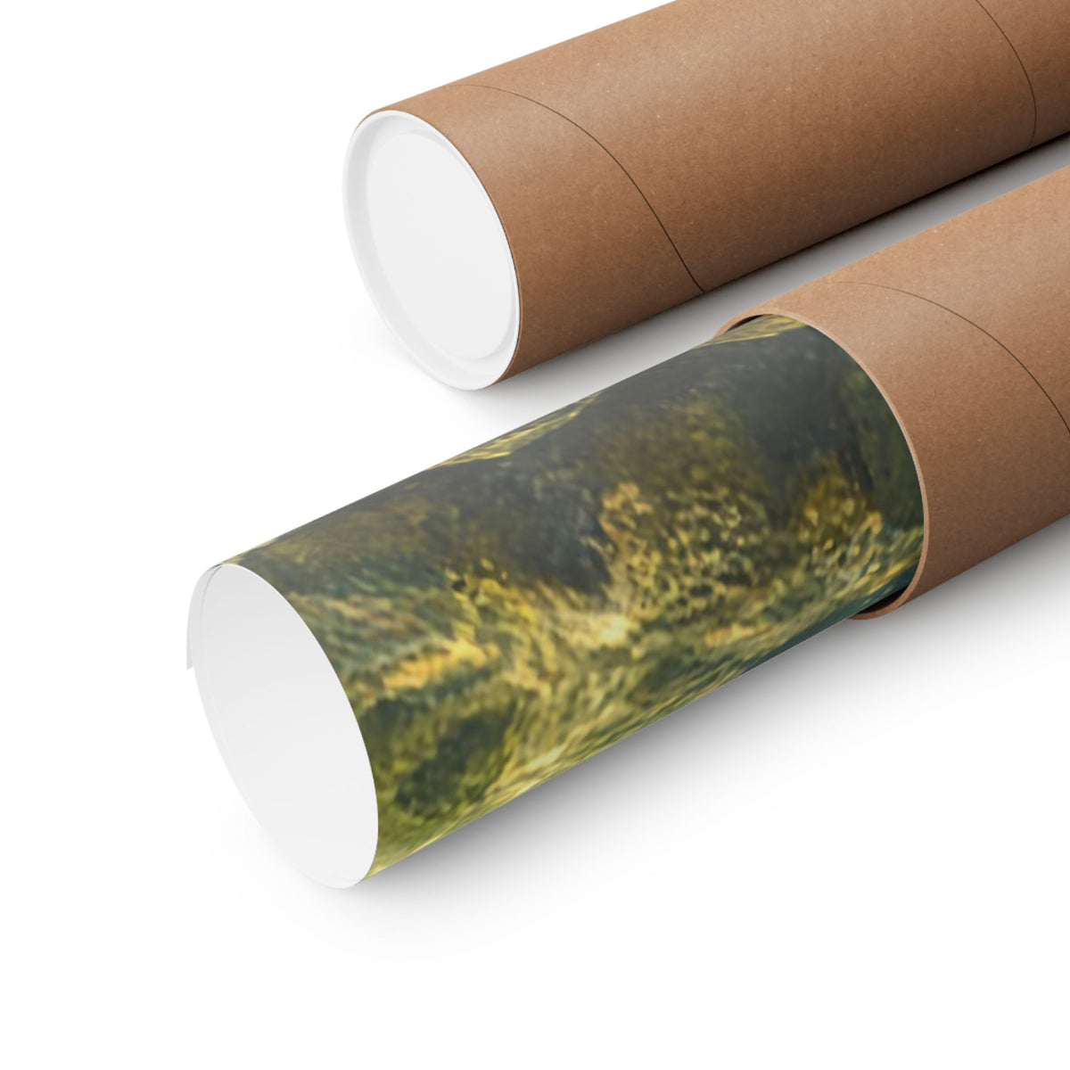 Hopper Season Brown Trout poster shipped rolled in a protective tube