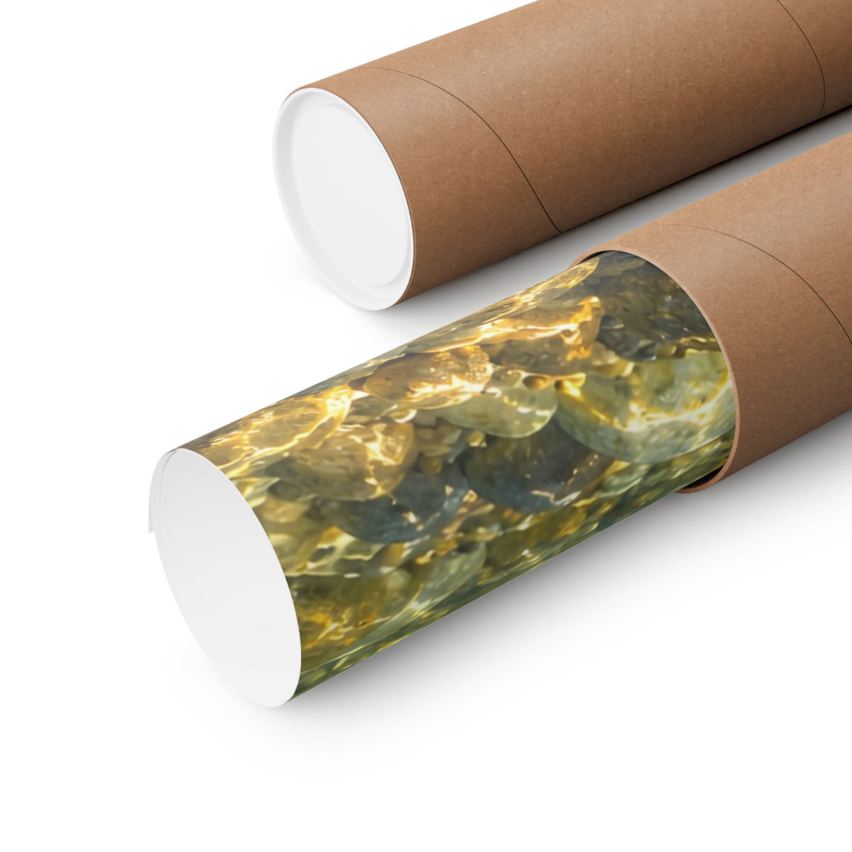 Crimson Run Sockeye Salmon poster shipped rolled in a protective tube