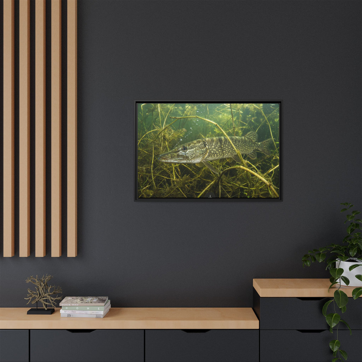 Weed Ambush Northern Pike framed canvas in a home office
