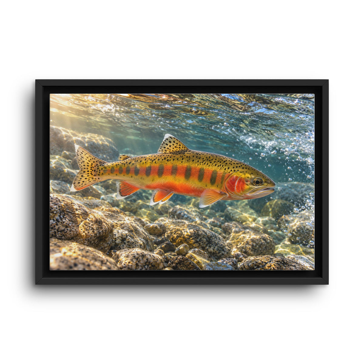 Sierra Sunrise Golden Trout framed canvas wall art