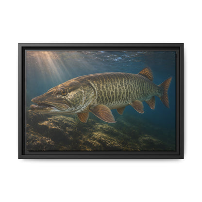 Toothy Close-Up Backlit Muskie framed canvas, 24x16 size view