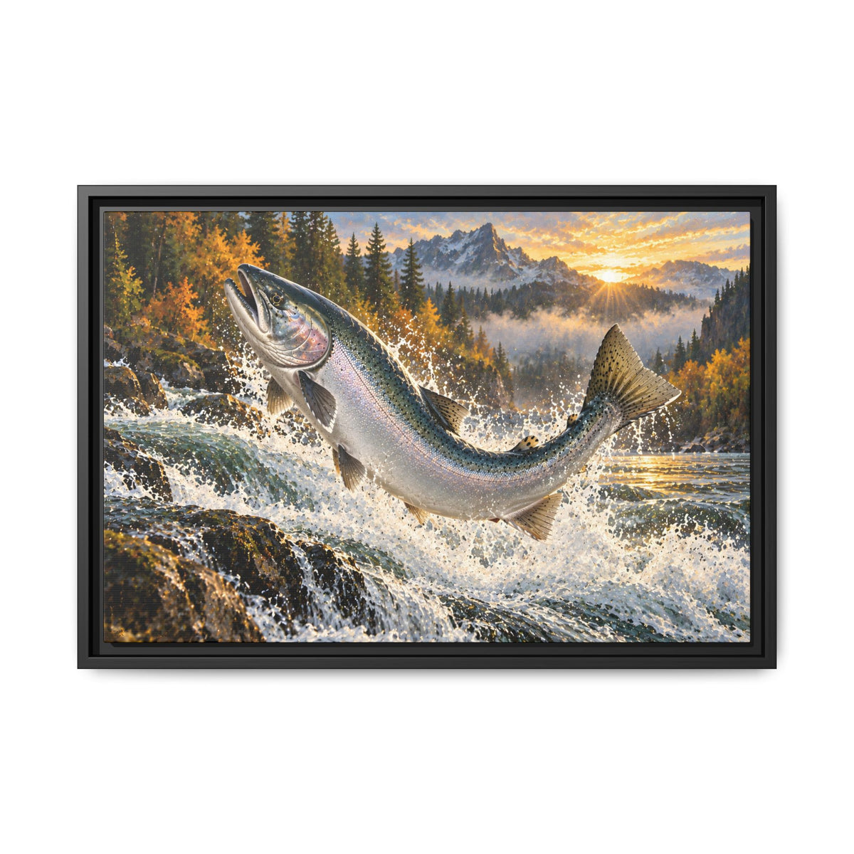 Sunrise Leap Coho Salmon framed canvas, 24x16 size view