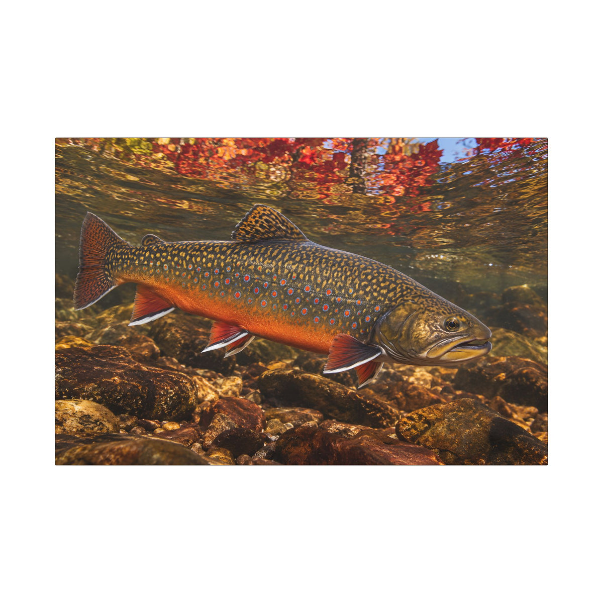 Crimson October Brook Trout canvas wall art, view 3