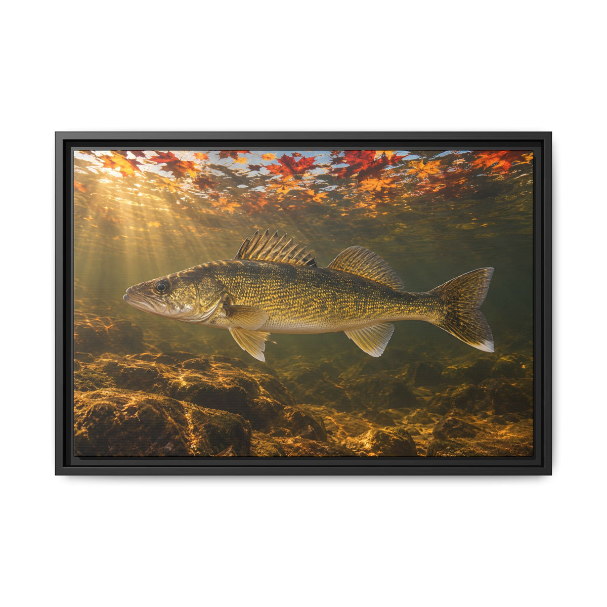 Autumn Turnover Walleye framed canvas, 36x24 size view