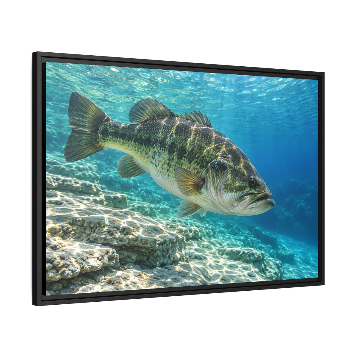 Turquoise Limestone Ledge Largemouth Bass framed canvas side angle