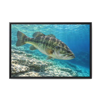 Turquoise Limestone Ledge Largemouth Bass framed canvas, 18x12 size view