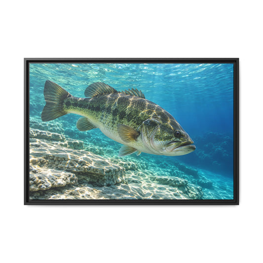 Turquoise Limestone Ledge Largemouth Bass framed canvas, 18x12 size view