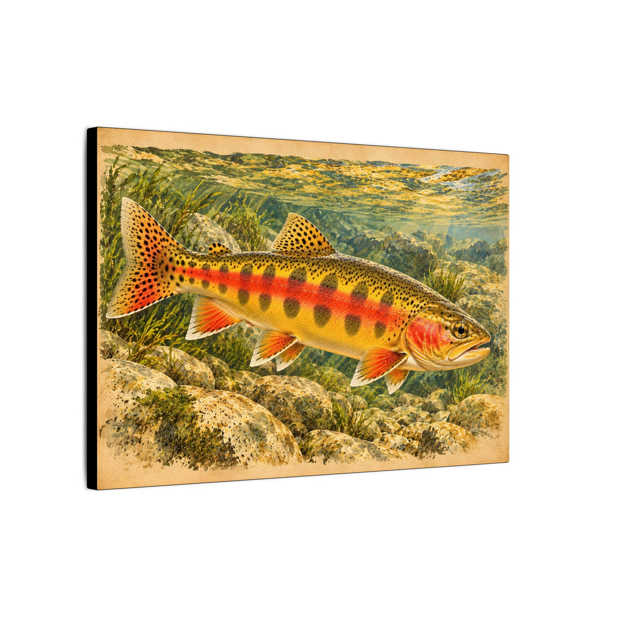 Vintage Underwater Portrait Golden Trout canvas wall art, view 4