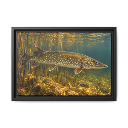 Amber Reed Sentinel Northern Pike framed canvas, 24x16 size view