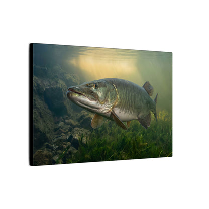 Golden Weed Line Hover Muskie canvas side angle