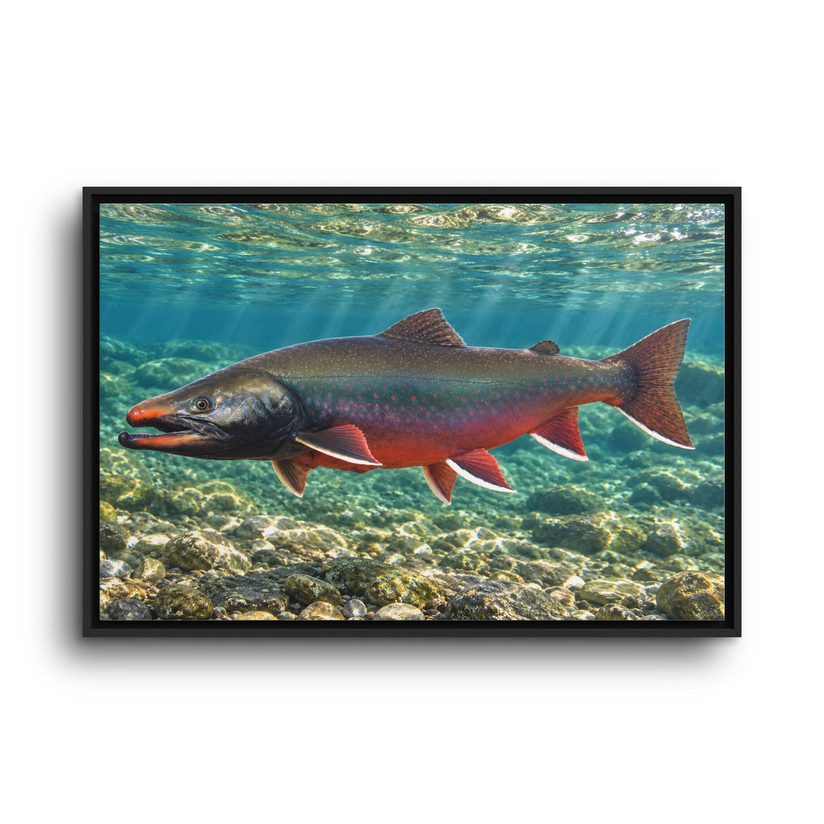 Sunlit Waters Dolly Varden framed canvas wall art, view 3