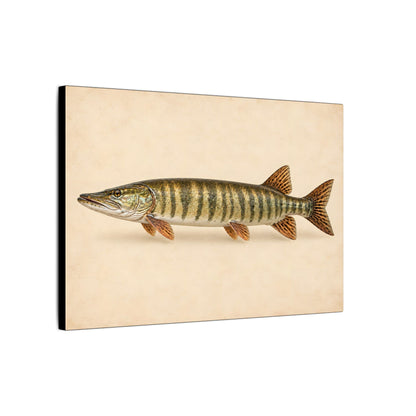 Muskellunge Field Study Canvas wall art, view 4