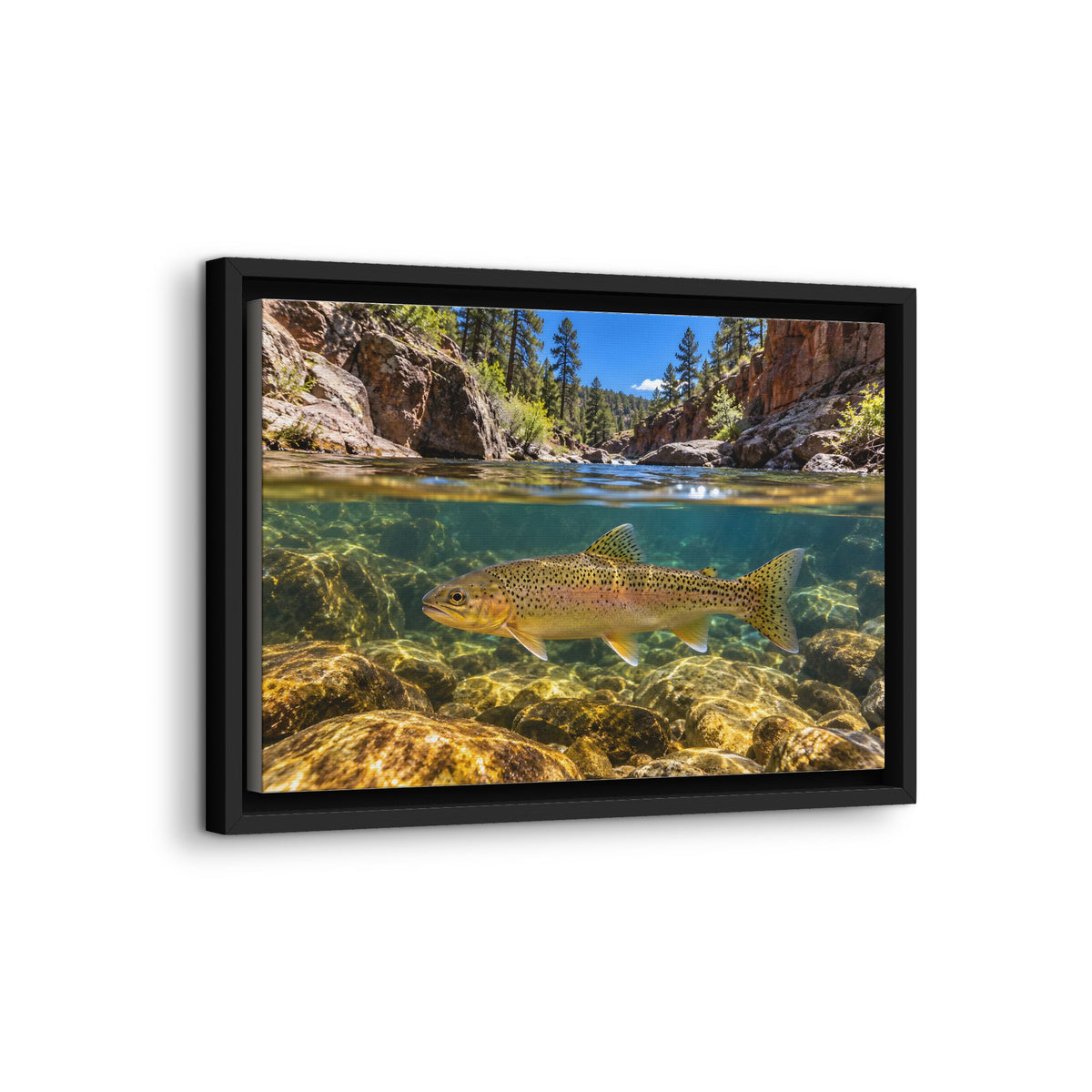 Red Rock Canyon Gila Trout framed canvas wall art, view 4