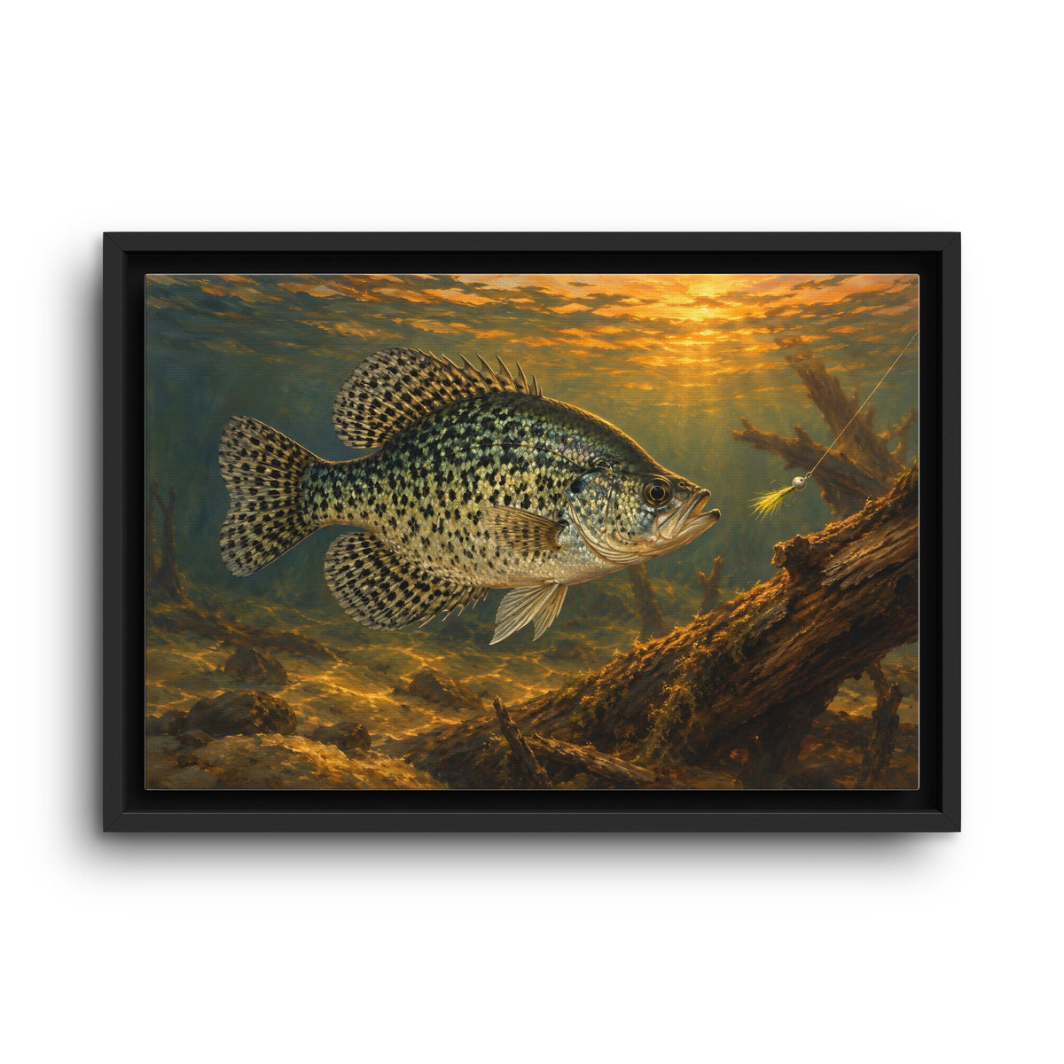 Papermouth at Dusk Crappie framed canvas wall art