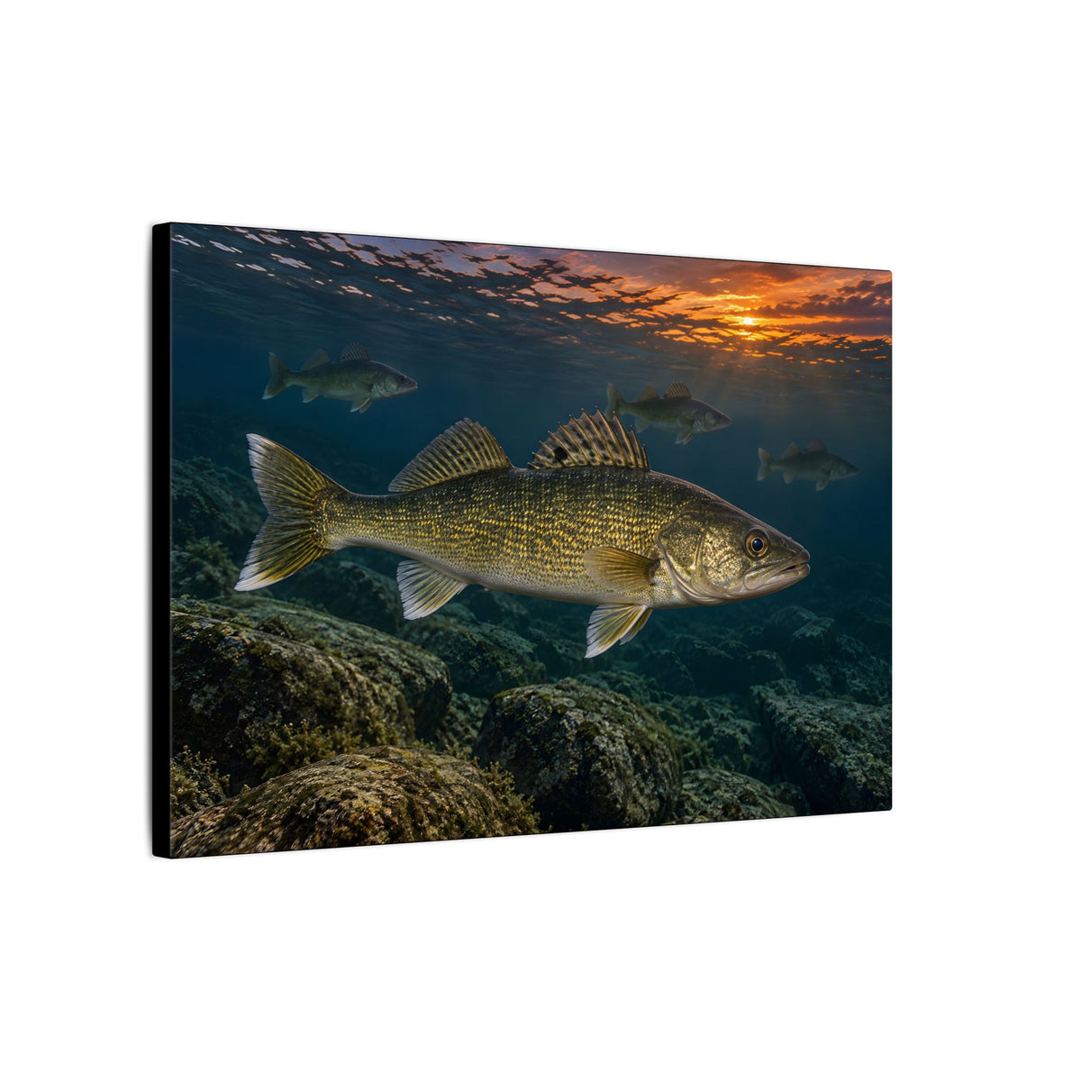Reef Pack at Dusk Walleye canvas side angle