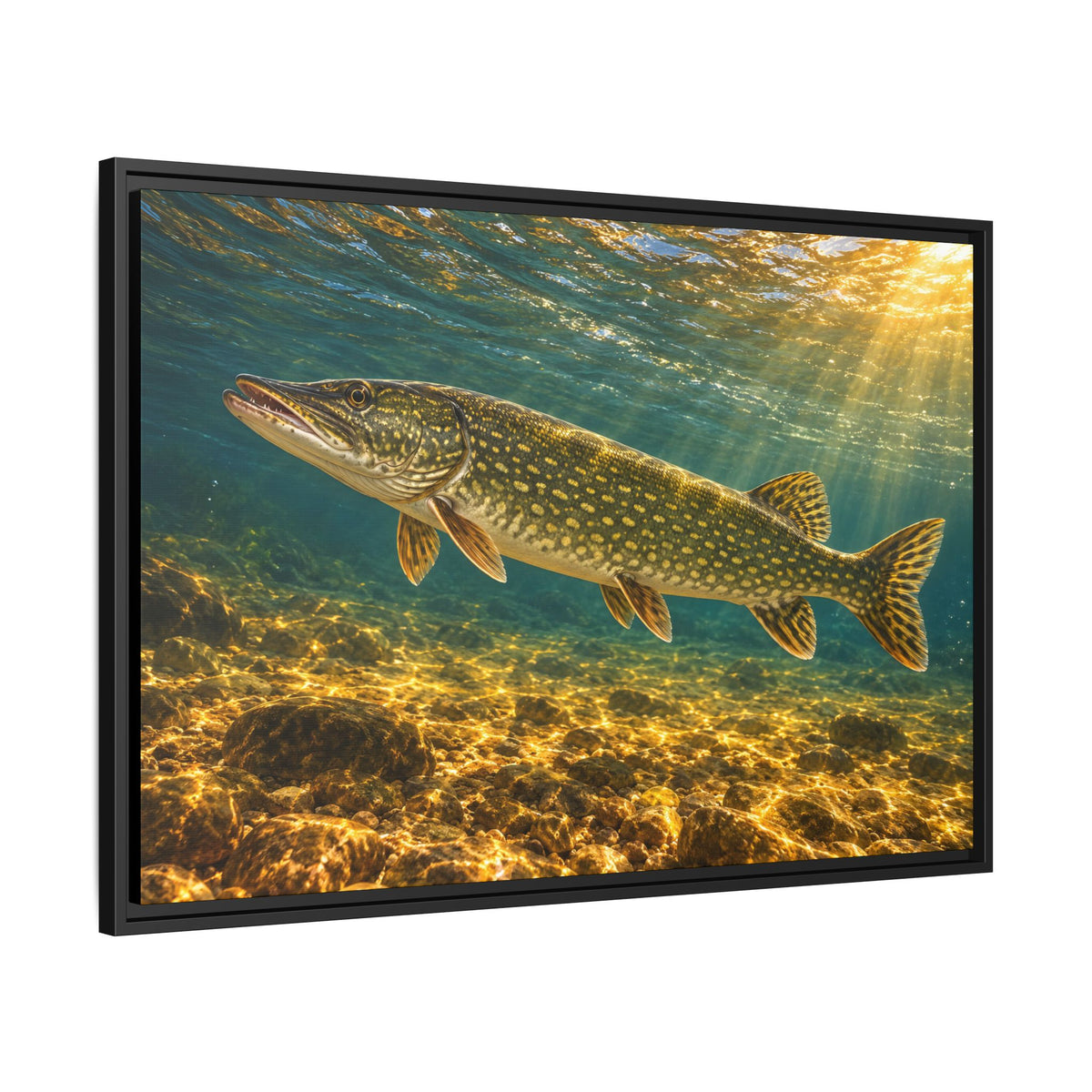 Golden Current Northern Pike framed canvas side angle