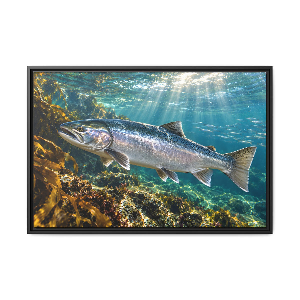 Silver in the Tide Coho Salmon framed canvas, 36x24 size view