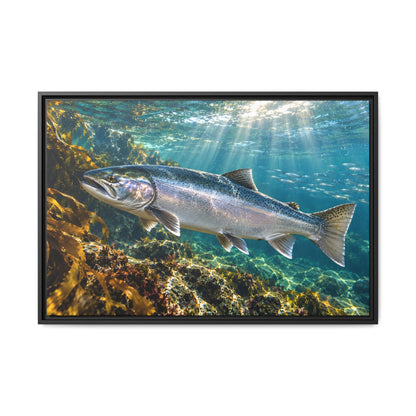 Silver in the Tide Coho Salmon framed canvas, 36x24 size view