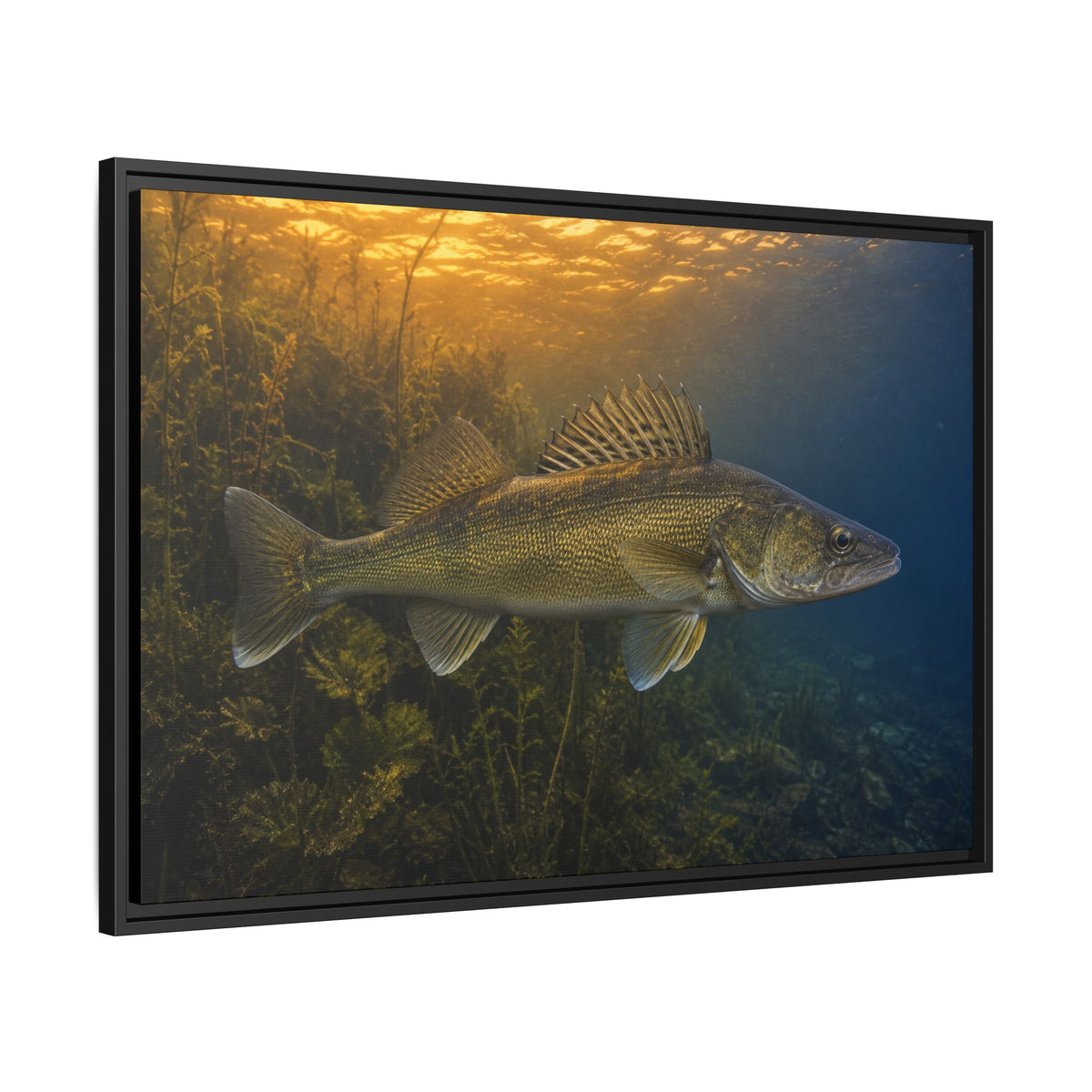 Dusk Weed Edge Walleye framed canvas side angle