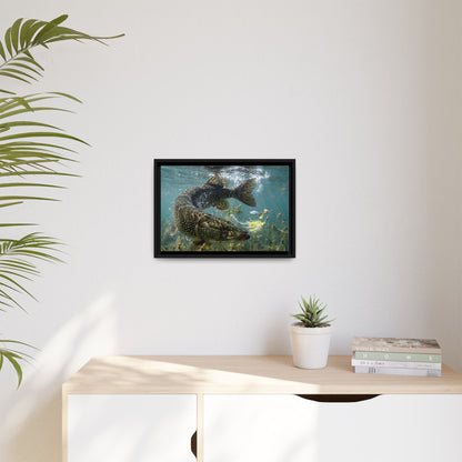 Northern Pike Turning Strike Framed Canvas — Ready-to-Hang Wall Art for Anglers