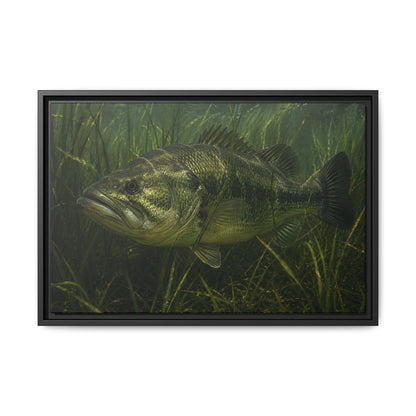 Grass Bed Ambush Largemouth Bass framed canvas, 36x24 size view