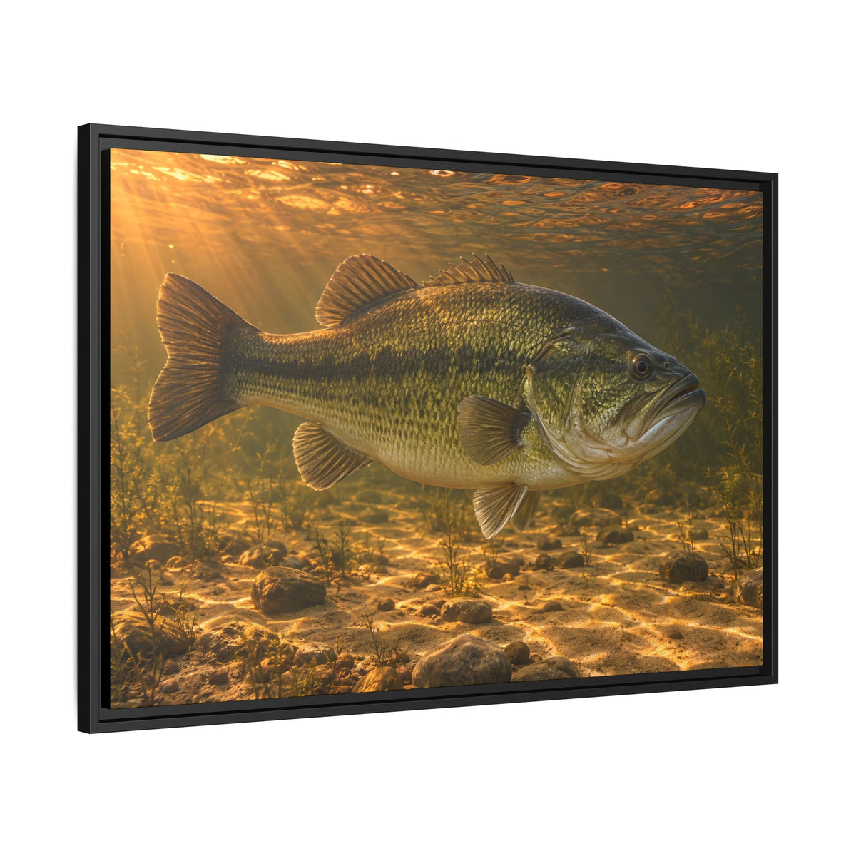 Copper Evening Flats Largemouth Bass framed canvas side angle