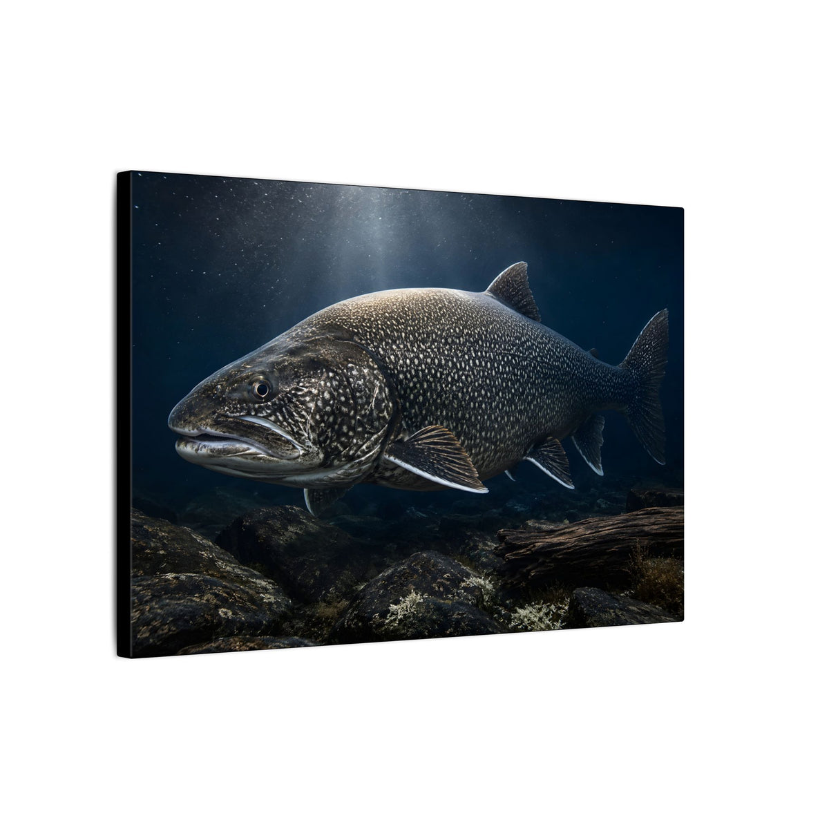 The Ancient One Lake Trout canvas wall art, view 4