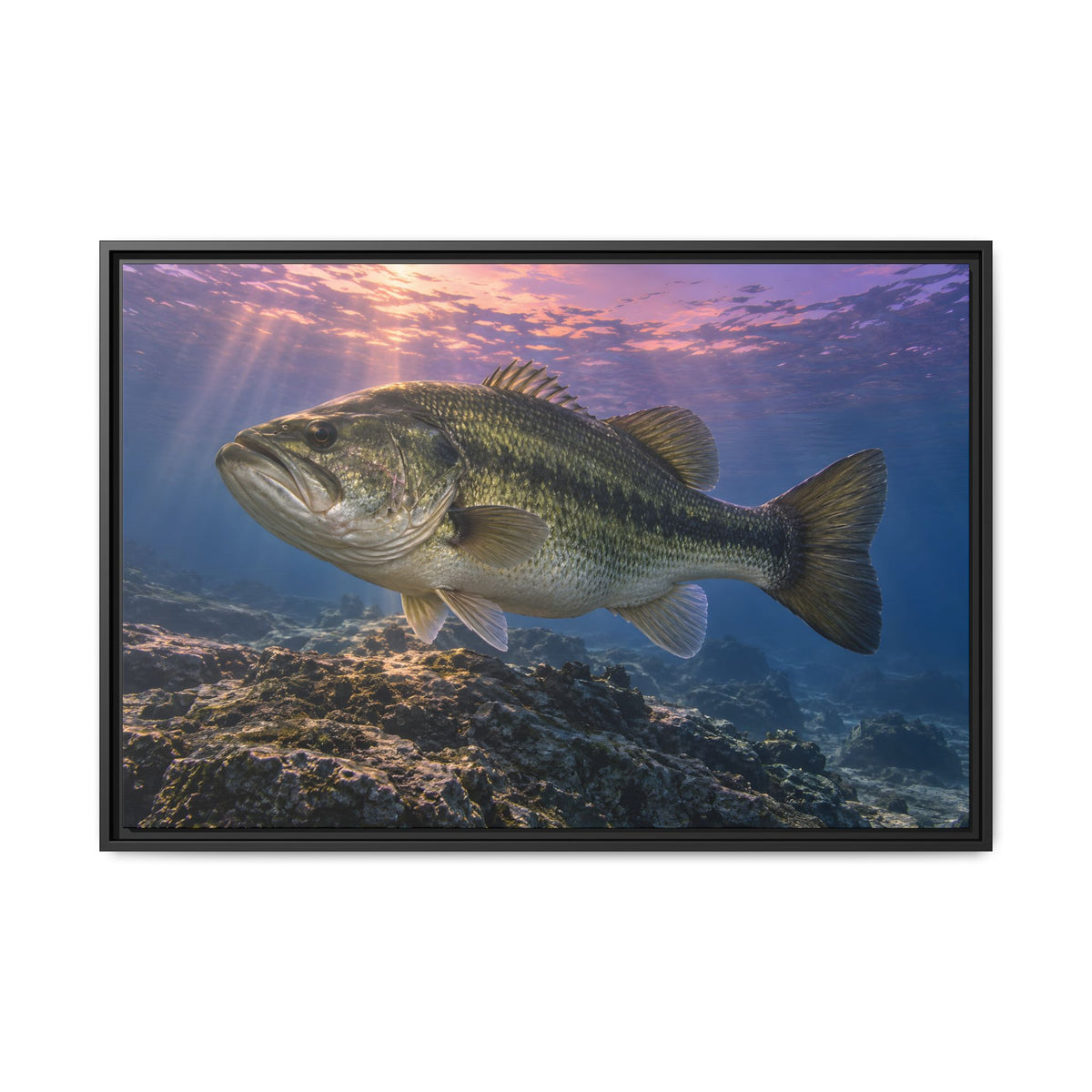 Lavender Twilight Ridge Largemouth Bass framed canvas, 18x12 size view