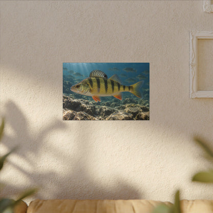 Rocky Reef Yellow Perch canvas wall art, view 5
