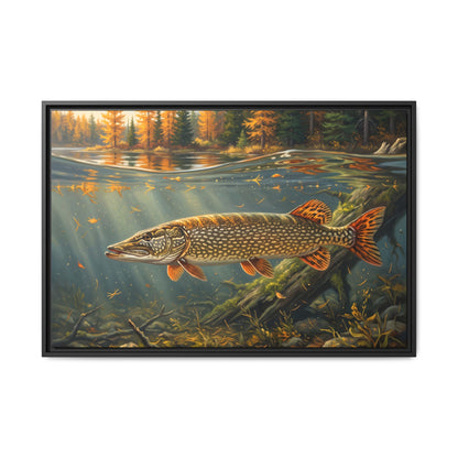 Tamarack Gold Northern Pike framed canvas, 18x12 size view