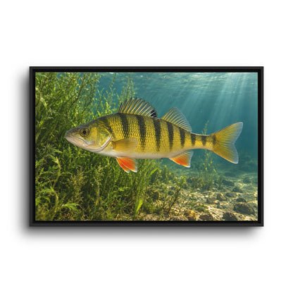 Weedline Yellow Perch framed canvas wall art, view 3