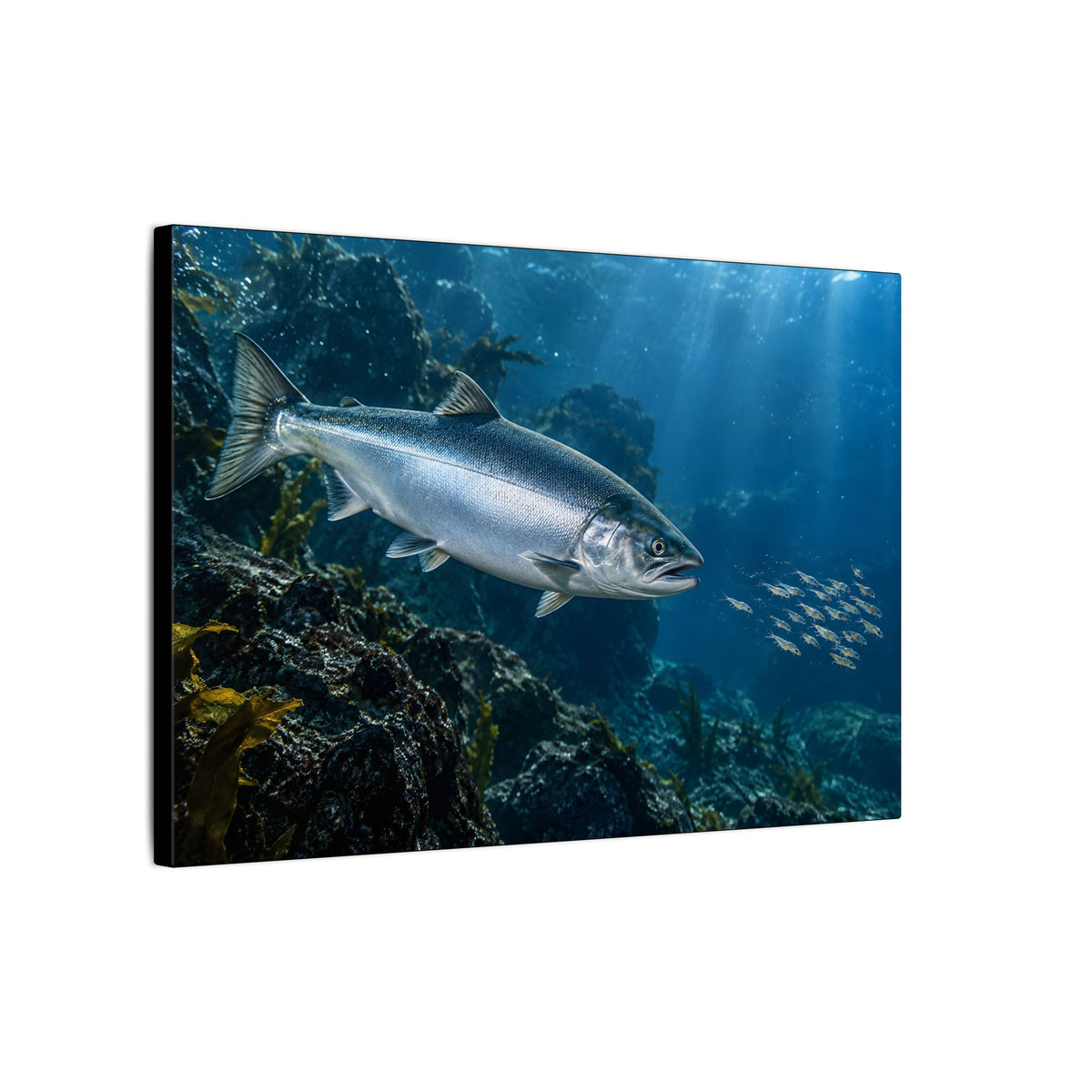 Autumn Glacier Run Atlantic Salmon canvas wall art, view 4