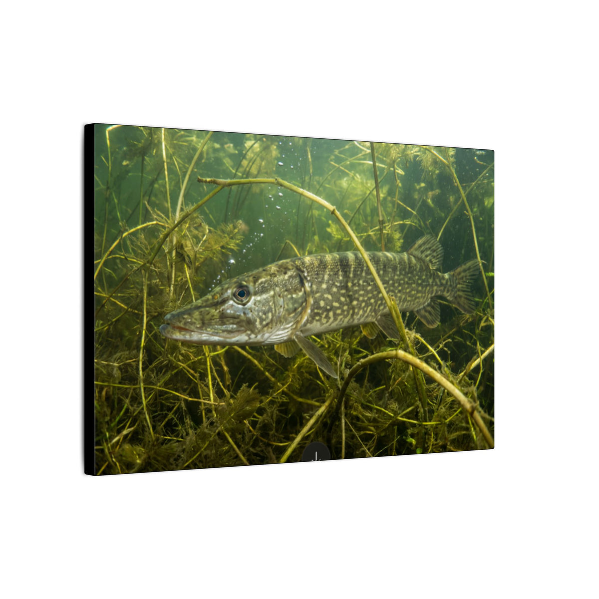 Weed Ambush Northern Pike canvas side angle