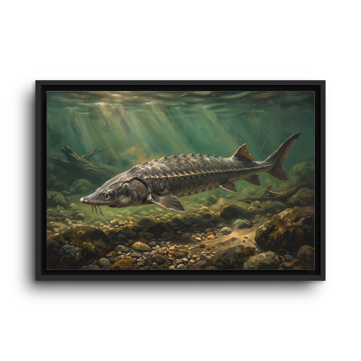 Lake Sturgeon Gravel Run framed canvas wall art, view 2