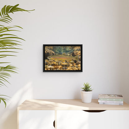Amber Pebbles Gila Trout framed canvas wall art, view 5