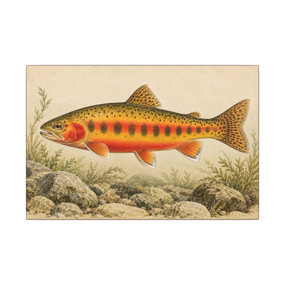 Vintage Stream Study Golden Trout canvas wall art