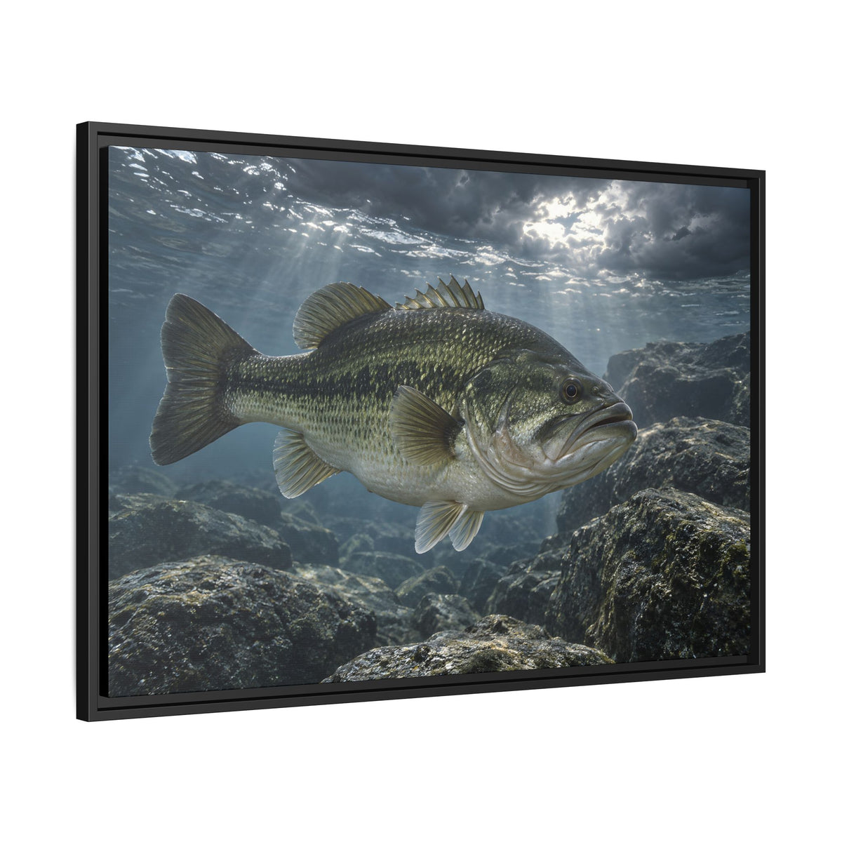 Silver Before the Storm Largemouth Bass framed canvas side angle