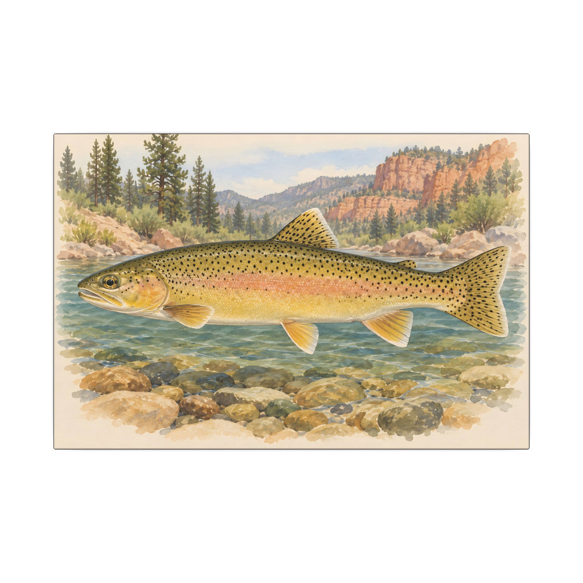 Gila Wilderness Watercolor Gila Trout canvas wall art