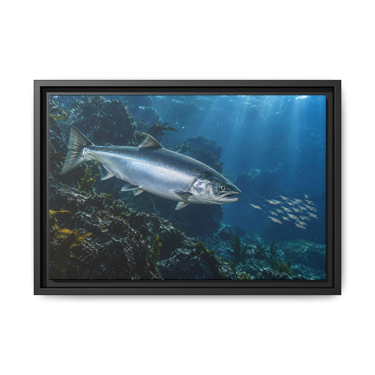 Autumn Glacier Run Atlantic Salmon framed canvas wall art, view 2