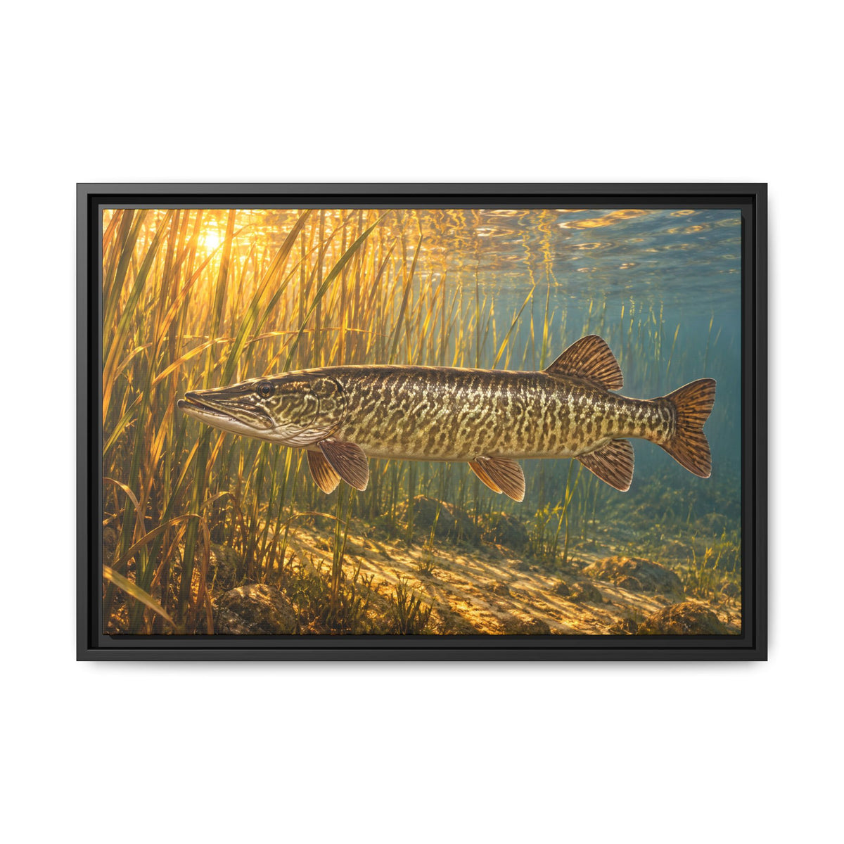 Tiger Muskie in Golden Reeds Framed Canvas wall art, view 3