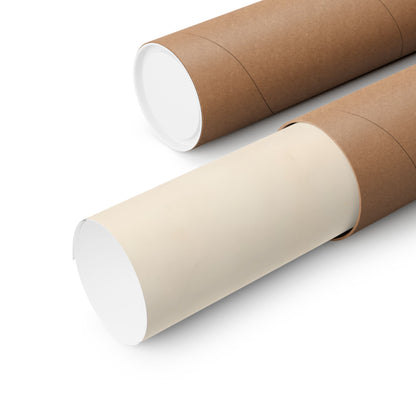 Northern Pike Field Study poster shipped rolled in a protective tube