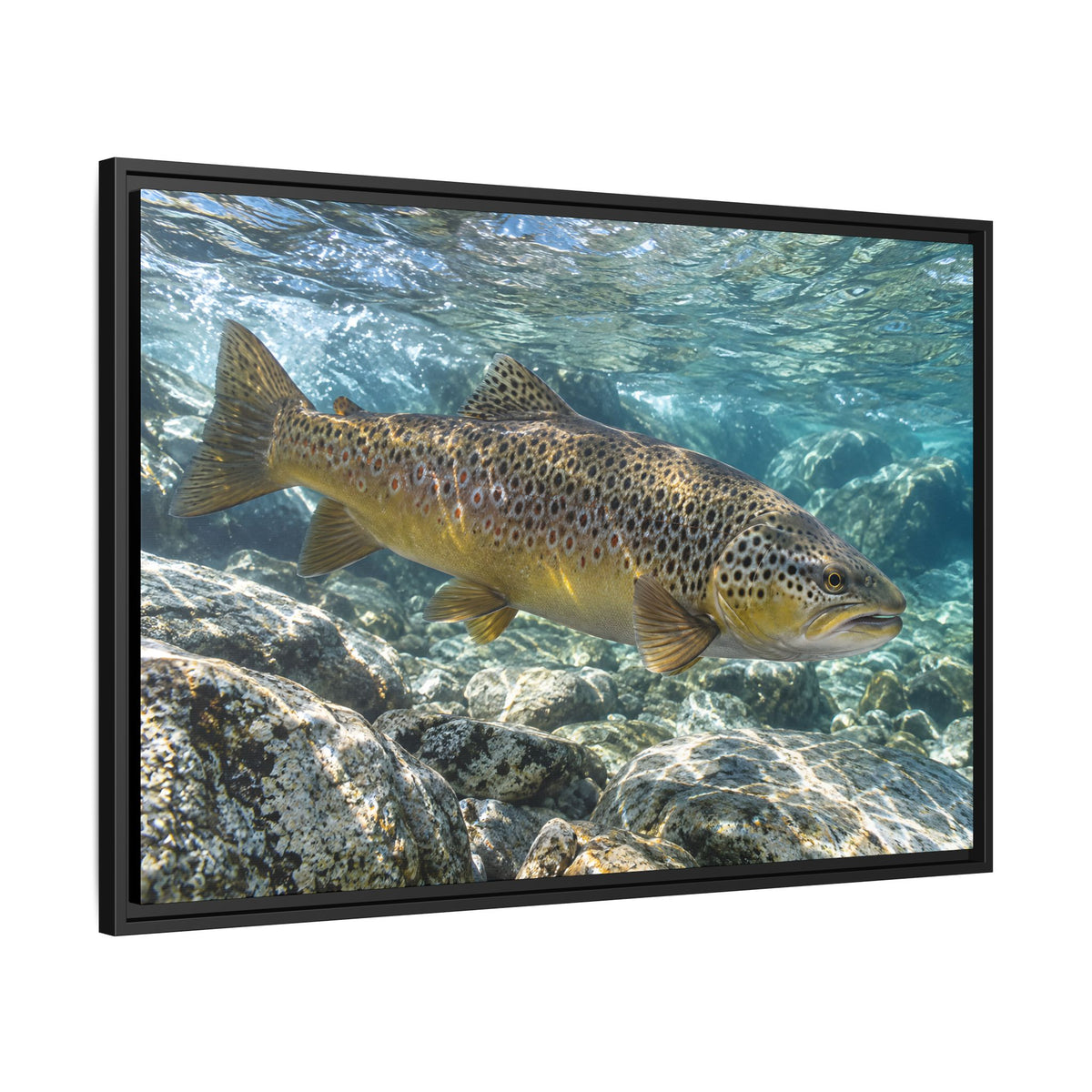 Emerald Undercut Brown Trout framed canvas wall art, view 4
