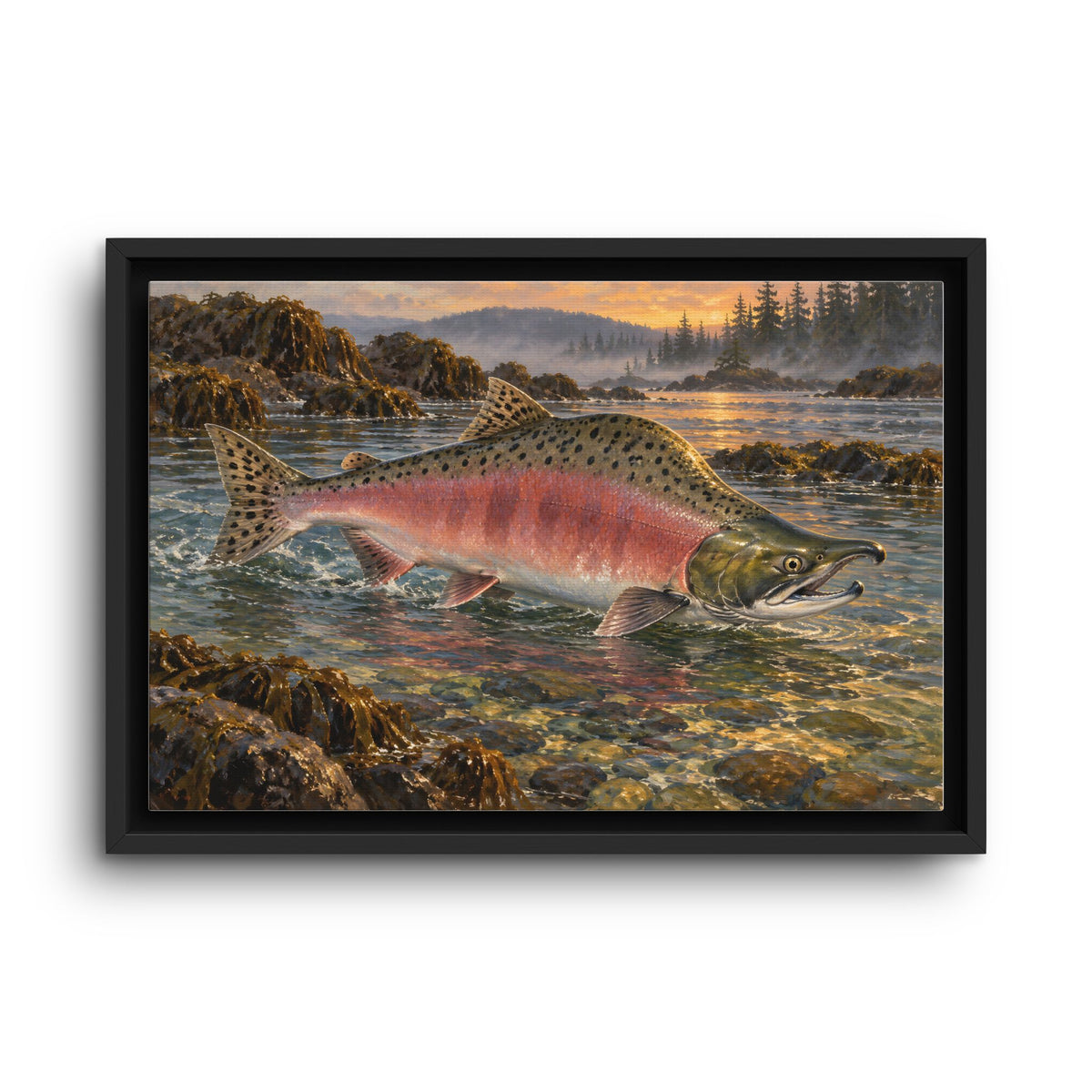 Alaskan Dusk Pink Salmon framed canvas wall art